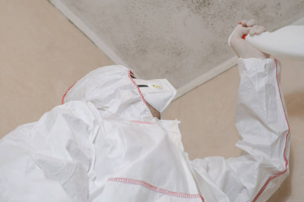 Best Certified Mold Removal  in Clyde, NC